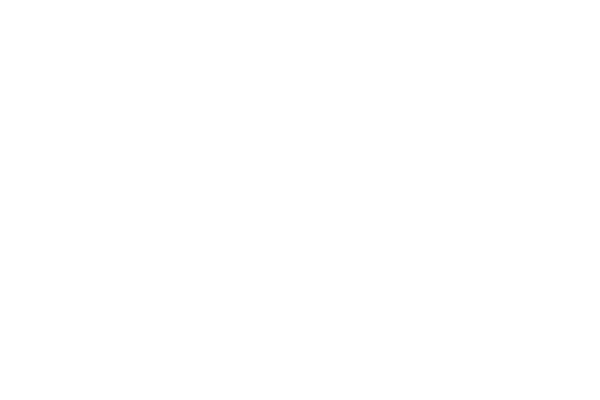 Mała Armia Janosika